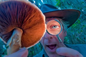 Існує фобія грибів, а також боязнь отруєння грибами