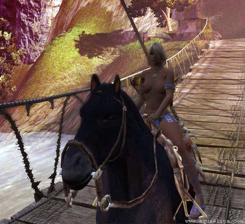 Незважаючи на те, що в грі Age of Conan спостерігається формальне присутність як коні, так і верхової їзди, обидва випадки реалізовані, як і всі в цій mmorpg, таким чином, щоб довести гравця до максимальної фрустрації
