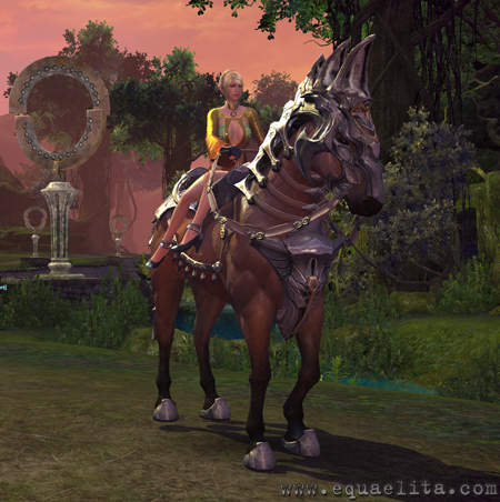 У масивної багатокористувацької грі Tera Online   представлений невеликий асортимент верхових і в'ючних тварин   і з великою ймовірністю ви будете їздити на тій коні, яку отримали на 12-му рівні, до моменту закінчення гри, тобто до левелкапа