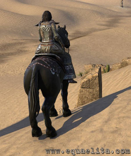 У представленій широкому загалу в квітні 2014 року MMORPG Elder Scrolls Online присутній п'ять мастей коней, одна з яких доступна тільки в ігровому шопі