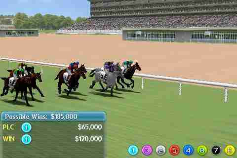 Абсолютно безглузді гонки на конях в грі Virtual Horse Racing