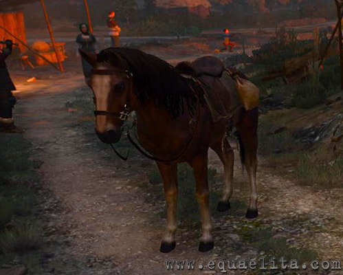 У грі Відьмак 3 також присутній кінь, про сенс наявності якої см