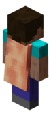 Назва   Скріншот   Оригінал Опис Шкіряний плащ   Учасник англомовної Minecraft Wiki Miclee   отримав цю накидку від   Нотч   за ідею про свіночеловеке