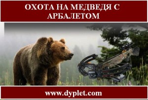 Полювання на ведмедя з арбалетом для деяких мисливців взагалі видається самогубством