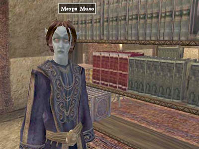 Самі ж яскраві приклади опрацьованих образів бібліотекарів, на наш погляд, це Мехра Мило з Morrowind і сестра Чінкаш з Arx Fatalis